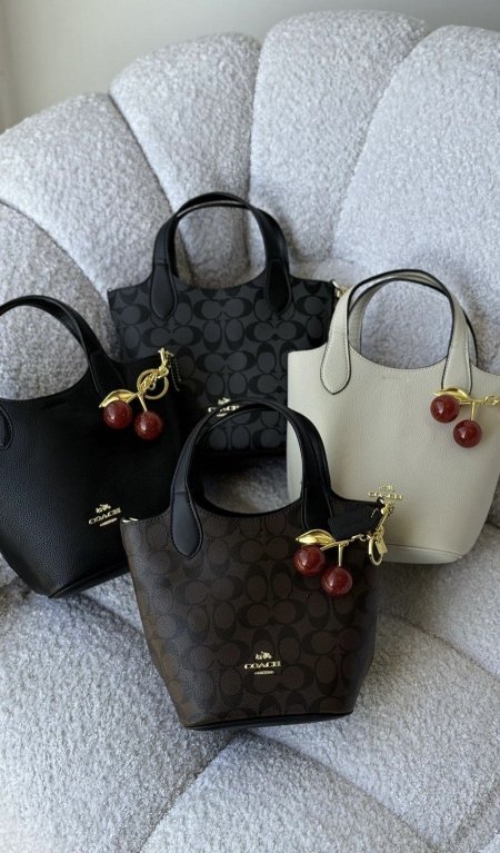 coach hanna bucket bag