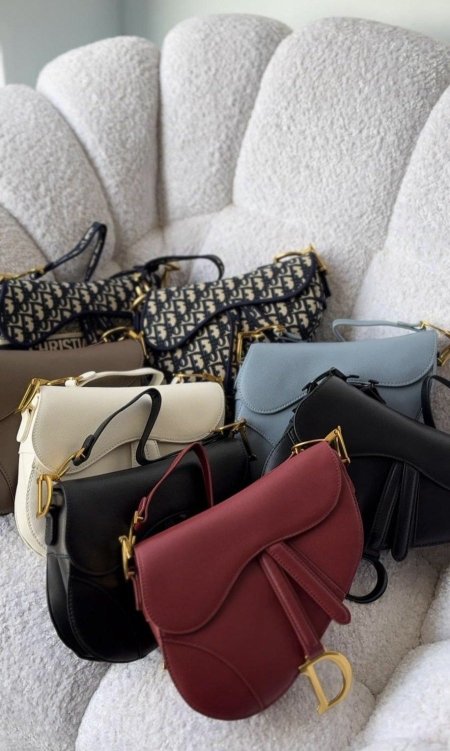 Dior Saddle