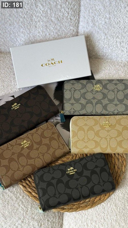 COACH كبير